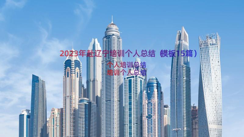 2023年赴辽宁培训个人总结（模板15篇）