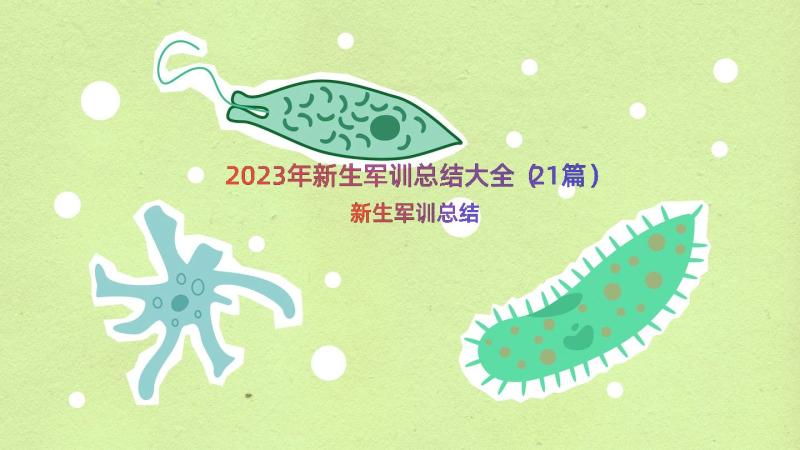 2023年新生军训总结大全（21篇）