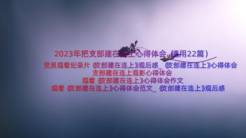 2023年把支部建在连上心得体会（通用22篇）