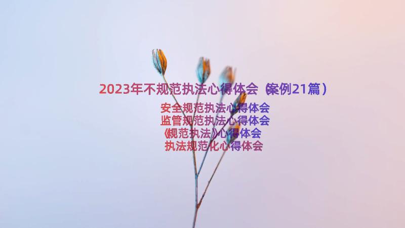 2023年不规范执法心得体会（案例21篇）