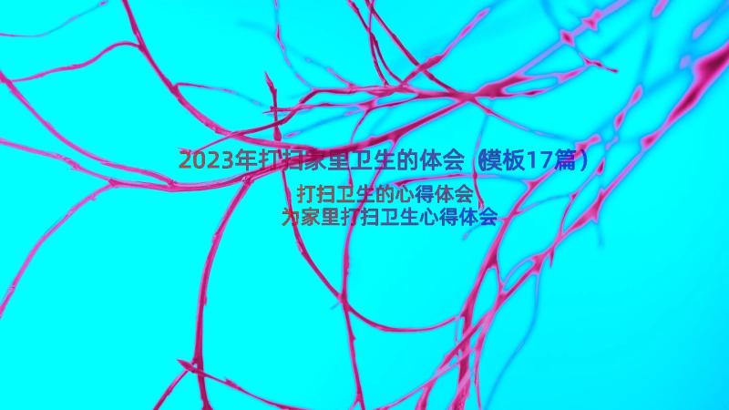 2023年打扫家里卫生的体会（模板17篇）