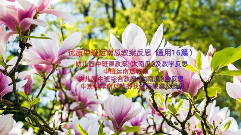 优质中班运南瓜教案反思（通用16篇）