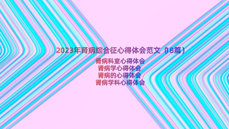 2023年肾病综合征心得体会范文（18篇）