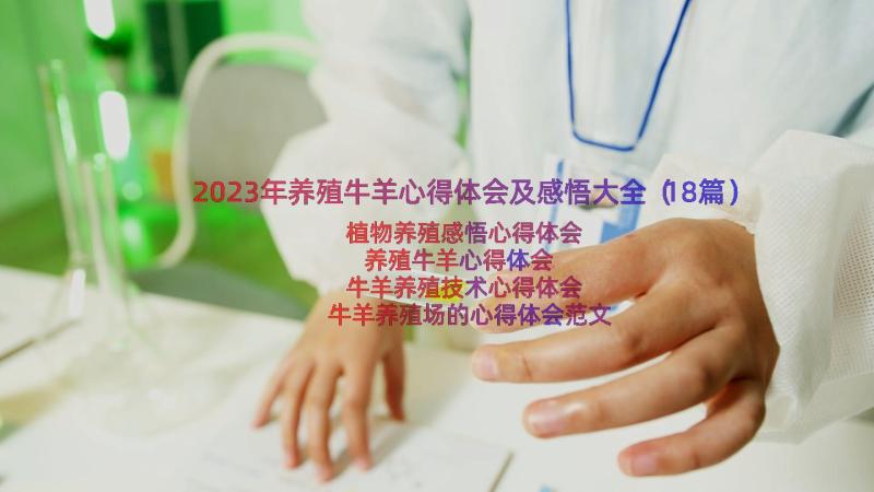 2023年养殖牛羊心得体会及感悟大全（18篇）