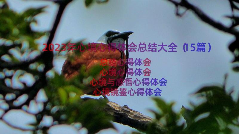 2023年心境心得体会总结大全（15篇）