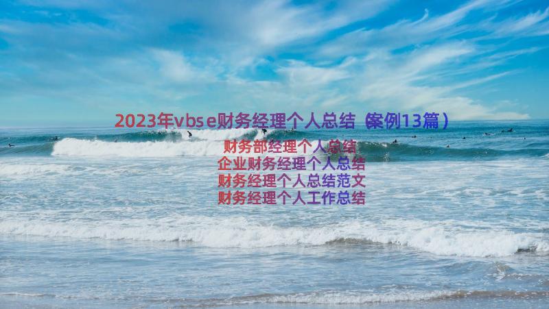 2023年vbse财务经理个人总结（案例13篇）