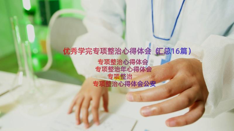 优秀学完专项整治心得体会（汇总16篇）