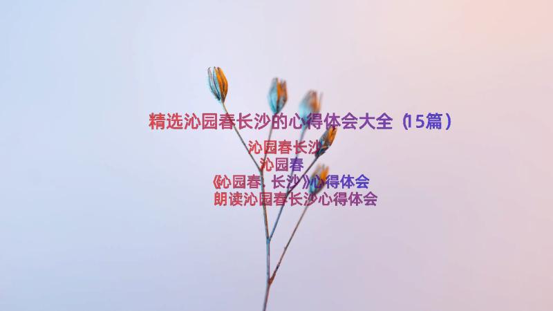 精选沁园春长沙的心得体会大全（15篇）