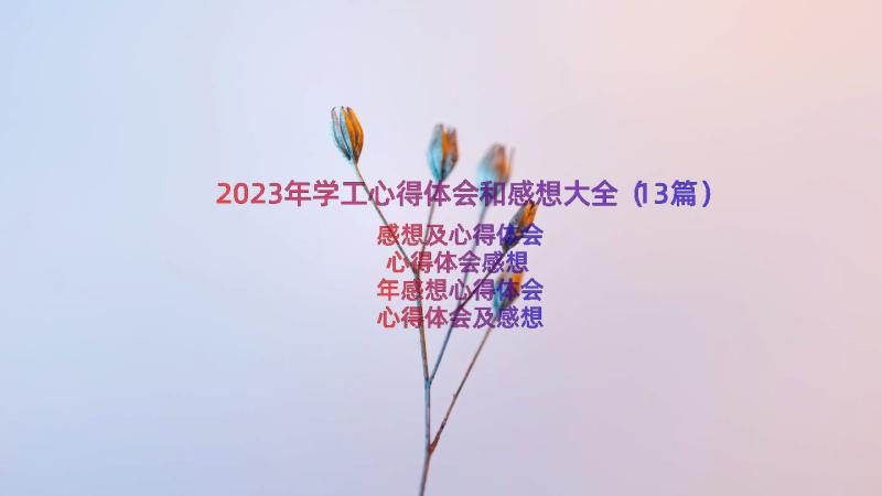 2023年学工心得体会和感想大全（13篇）