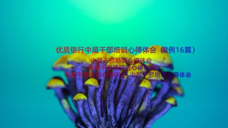 优质银行中层干部培训心得体会（案例16篇）