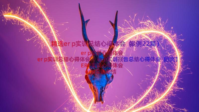 精选erp实训总结心得体会（案例22篇）