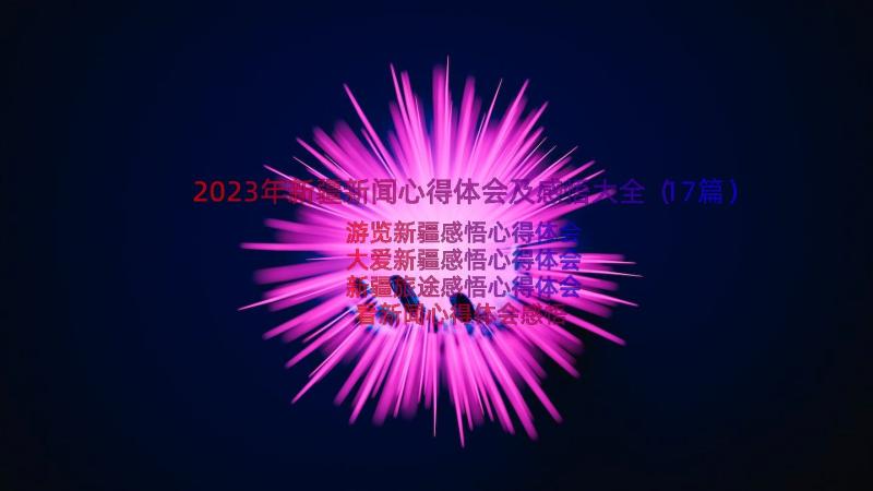 2023年新疆新闻心得体会及感悟大全（17篇）