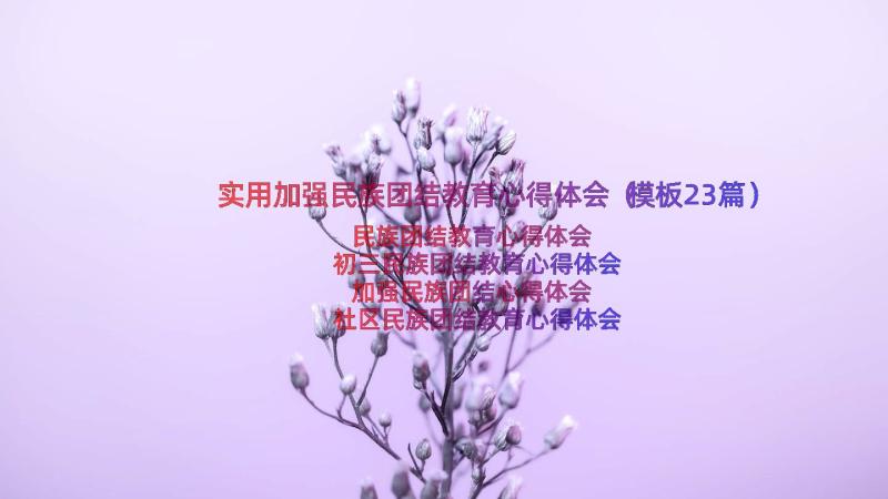 实用加强民族团结教育心得体会（模板23篇）