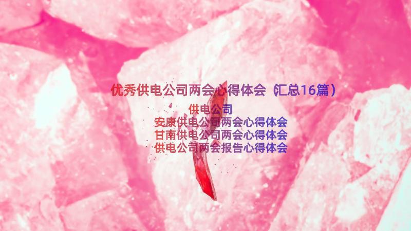 优秀供电公司两会心得体会（汇总16篇）