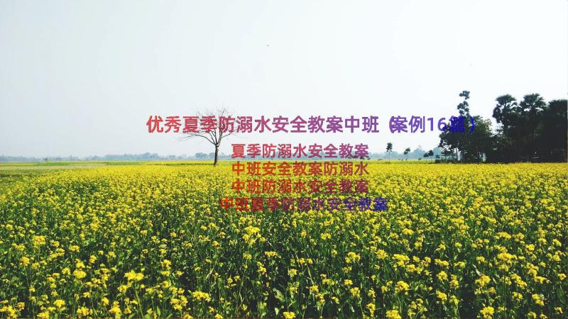 优秀夏季防溺水安全教案中班（案例16篇）