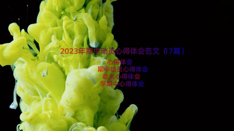 2023年期中动员心得体会范文（17篇）