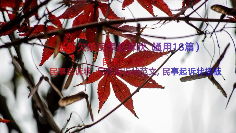 最新欠条民事起诉状（通用18篇）