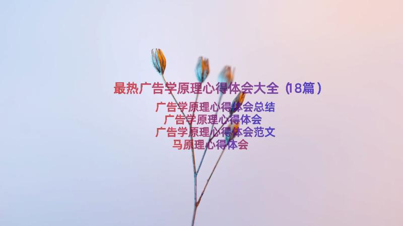 最热广告学原理心得体会大全（18篇）