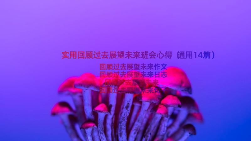 实用回顾过去展望未来班会心得（通用14篇）