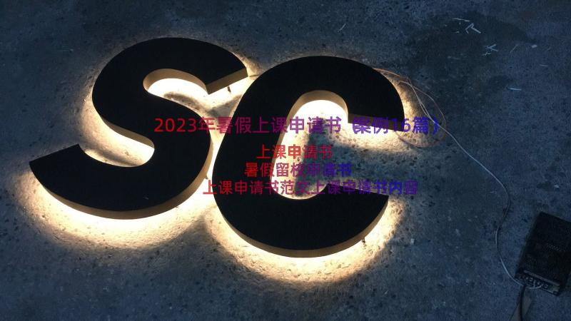 2023年暑假上课申请书（案例16篇）