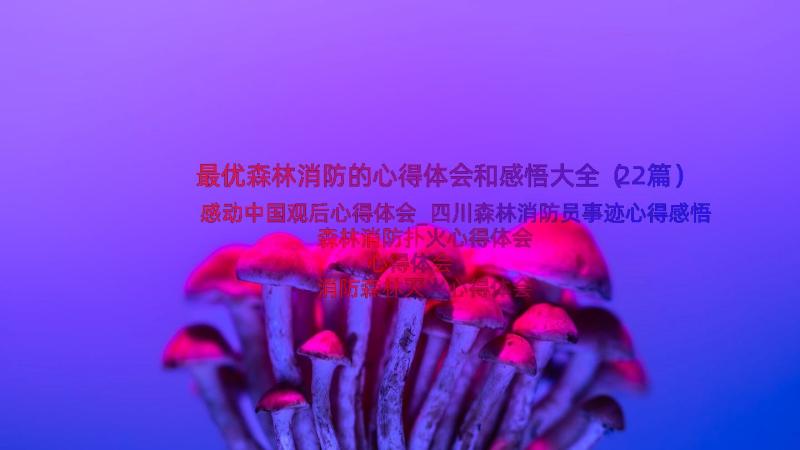 最优森林消防的心得体会和感悟大全（22篇）