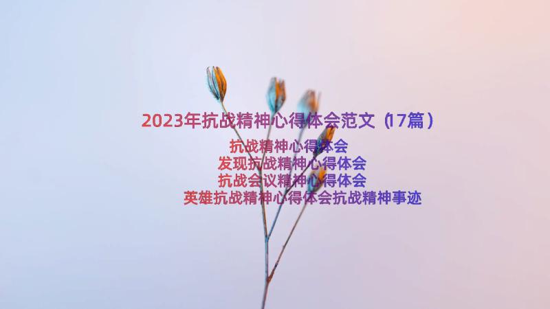 2023年抗战精神心得体会范文（17篇）