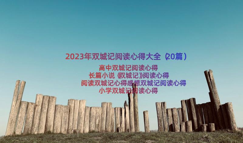 2023年双城记阅读心得大全（20篇）