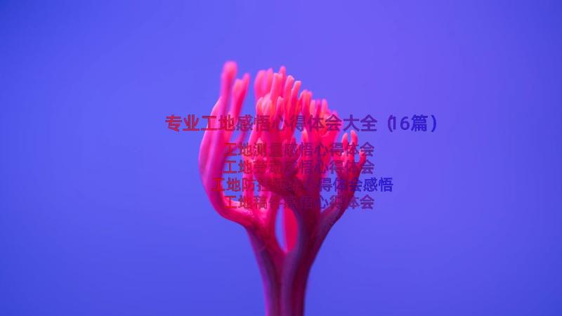 专业工地感悟心得体会大全（16篇）