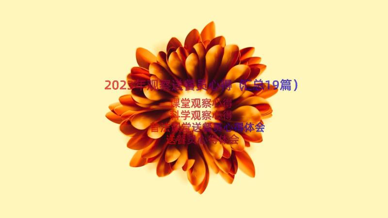 2023年观察送餐员心得（汇总19篇）