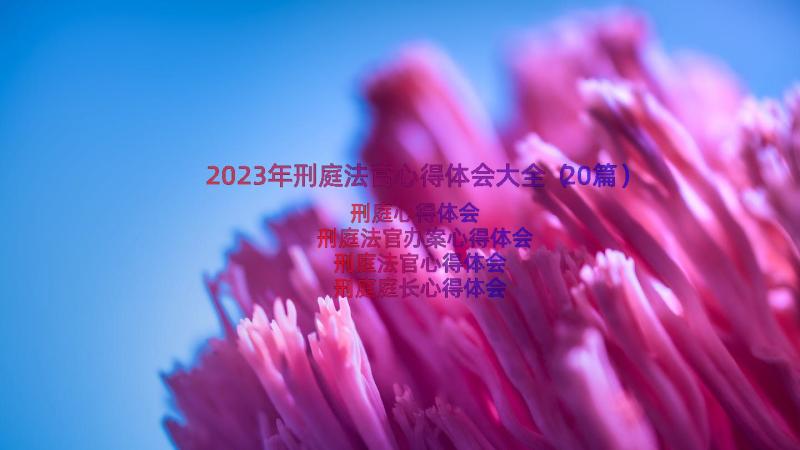 2023年刑庭法官心得体会大全（20篇）