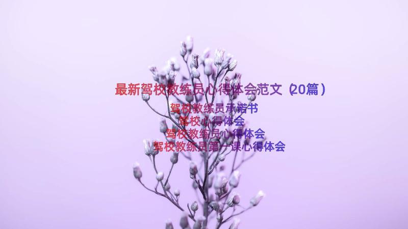 最新驾校教练员心得体会范文（20篇）