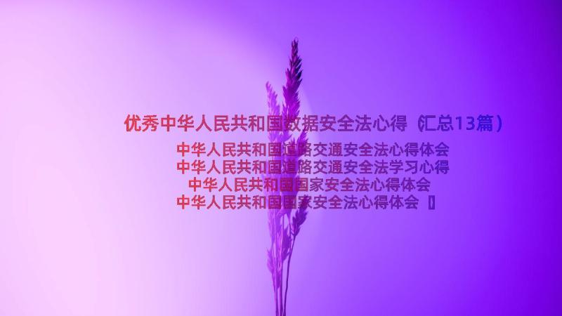 优秀中华人民共和国数据安全法心得（汇总13篇）
