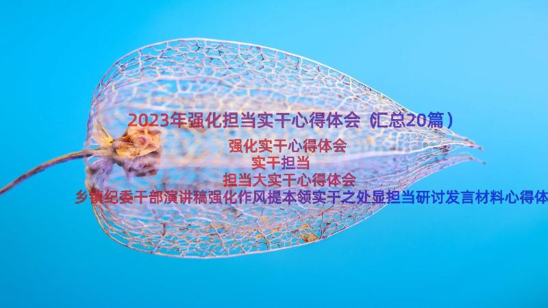 2023年强化担当实干心得体会（汇总20篇）