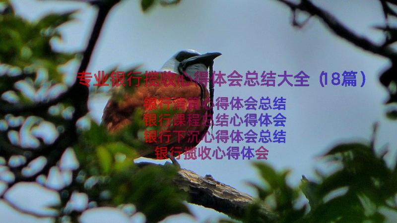 专业银行揽收心得体会总结大全（18篇）