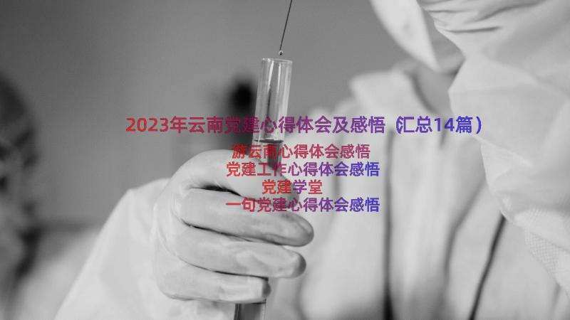 2023年云南党建心得体会及感悟（汇总14篇）