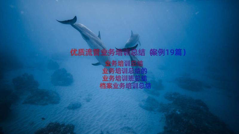 优质流管业务培训总结（案例19篇）