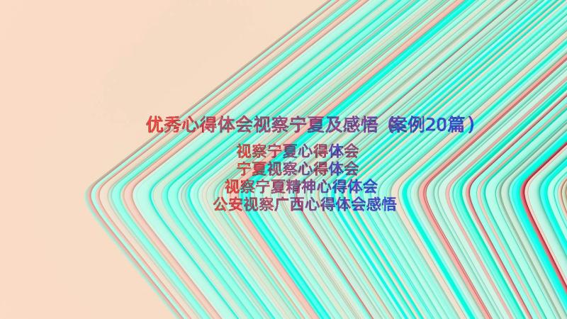 优秀心得体会视察宁夏及感悟（案例20篇）