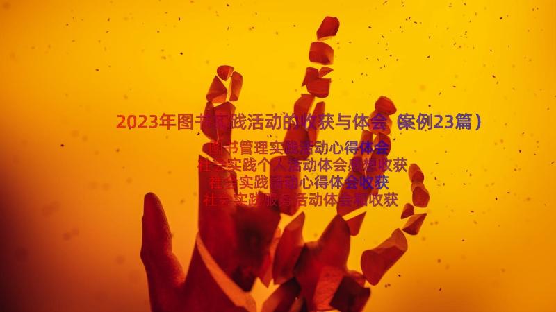 2023年图书实践活动的收获与体会（案例23篇）