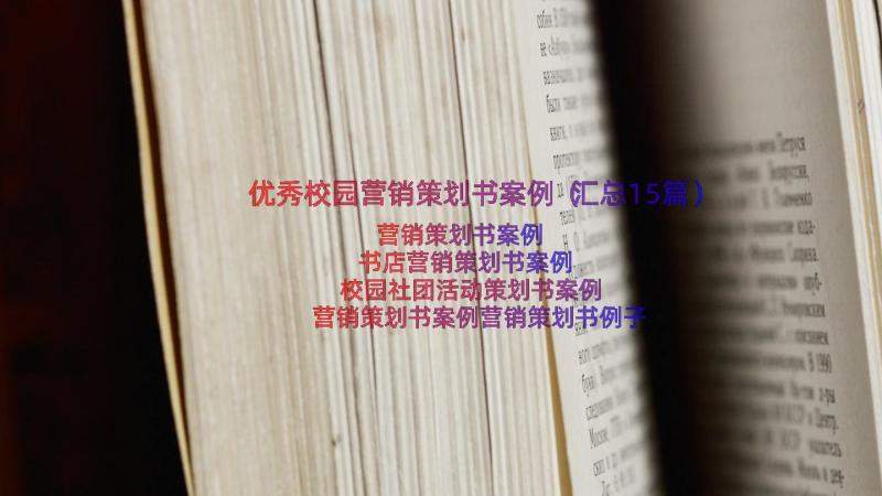 优秀校园营销策划书案例（汇总15篇）