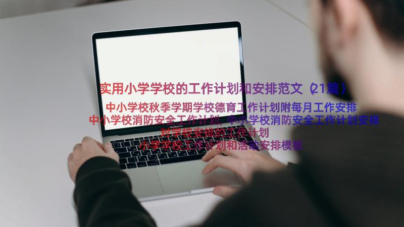 实用小学学校的工作计划和安排范文（21篇）