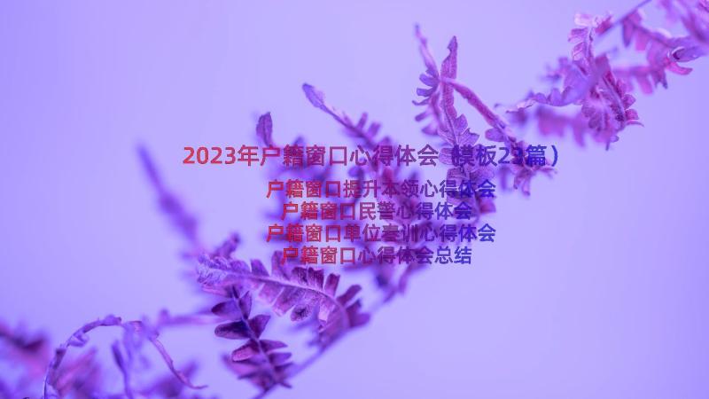 2023年户籍窗口心得体会（模板23篇）