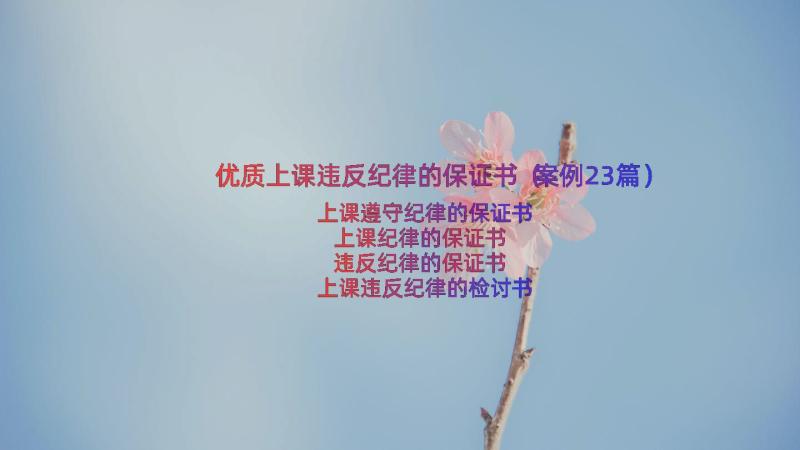 优质上课违反纪律的保证书（案例23篇）