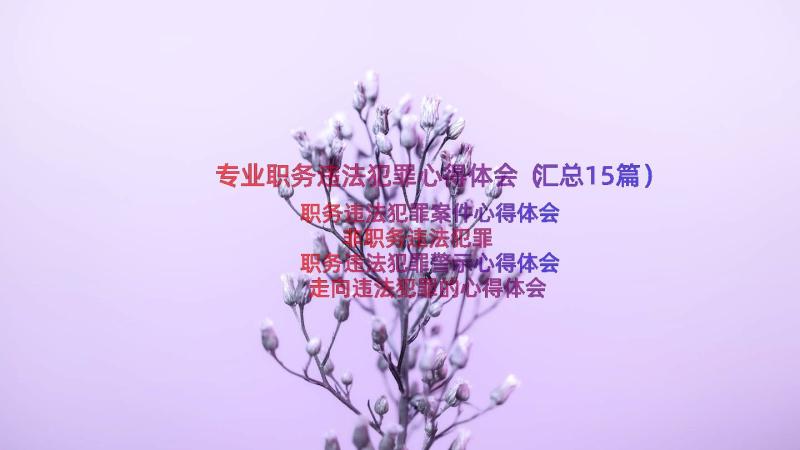 专业职务违法犯罪心得体会（汇总15篇）