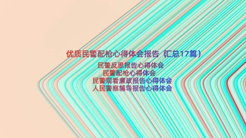 优质民警配枪心得体会报告（汇总17篇）