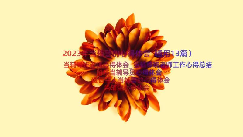 2023年当辅警的心得体会（通用13篇）