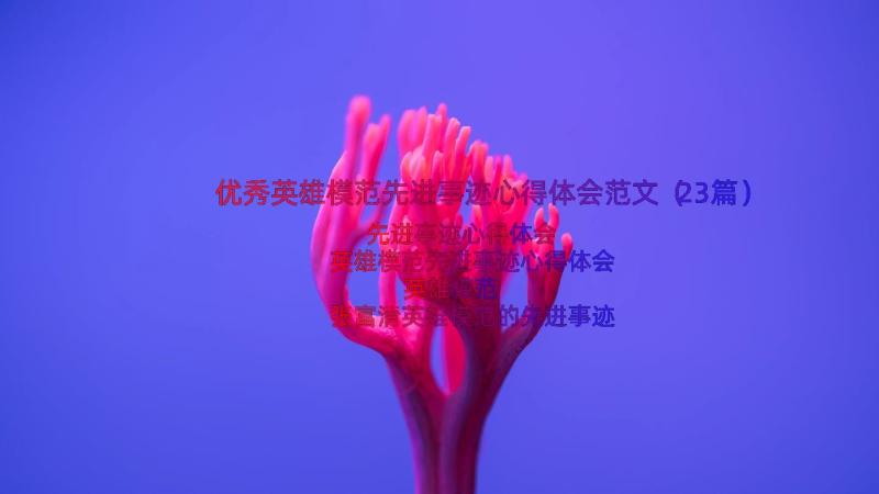 优秀英雄模范先进事迹心得体会范文（23篇）