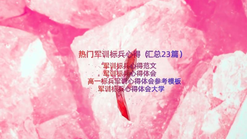 热门军训标兵心得（汇总23篇）