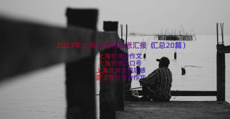 2023年上海世博会思想汇报（汇总20篇）