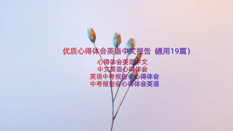 优质心得体会英语中文报告（通用19篇）