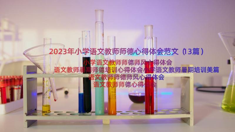 2023年小学语文教师师德心得体会范文（13篇）